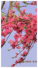F7A78F88-7782-4844-9DB1-DD2330B09793/L0/001