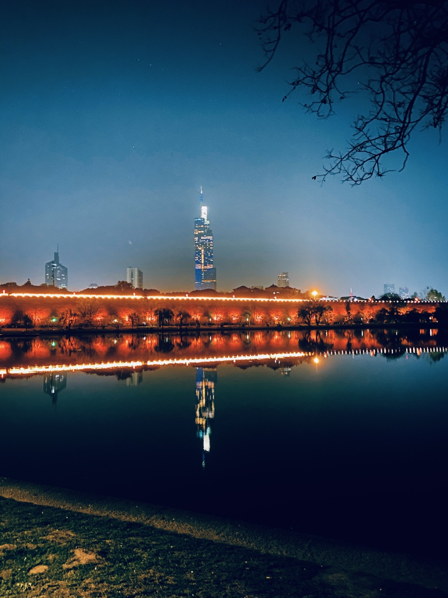 南京玄武湖紫峰大厦