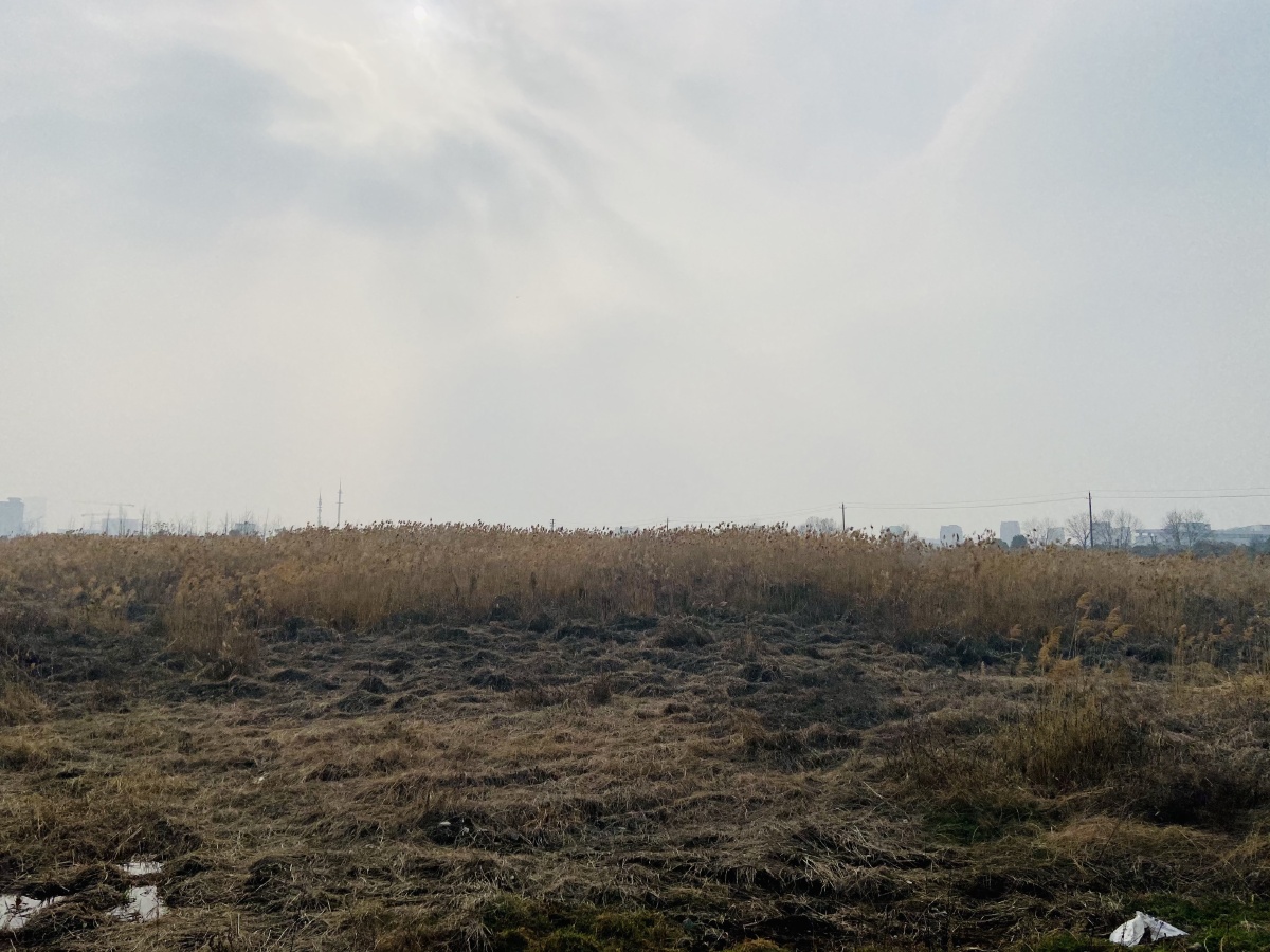城市边缘郊区荒野