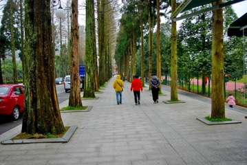 IMGP1121__