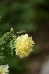 0E3CCBBA-165C-4D59-9A58-71FFB06D879E/L0/001