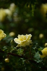F5CA4D5E-91A7-447D-852F-05D05DFE1966/L0/001