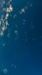 1000049956