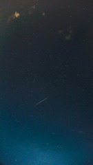 1000049958