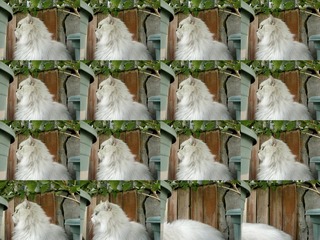 2A2711CC-1BC1-4763-8108-78A274B7B8DB/L0/001