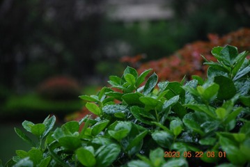 905E8113-20F7-42B9-B97C-D496E6FB7CEE/L0/001
