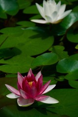 C0DAA201-F263-4240-B001-7C4B4575435A/L0/001