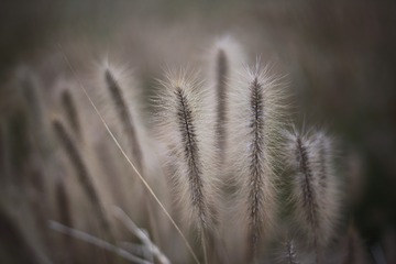 11220