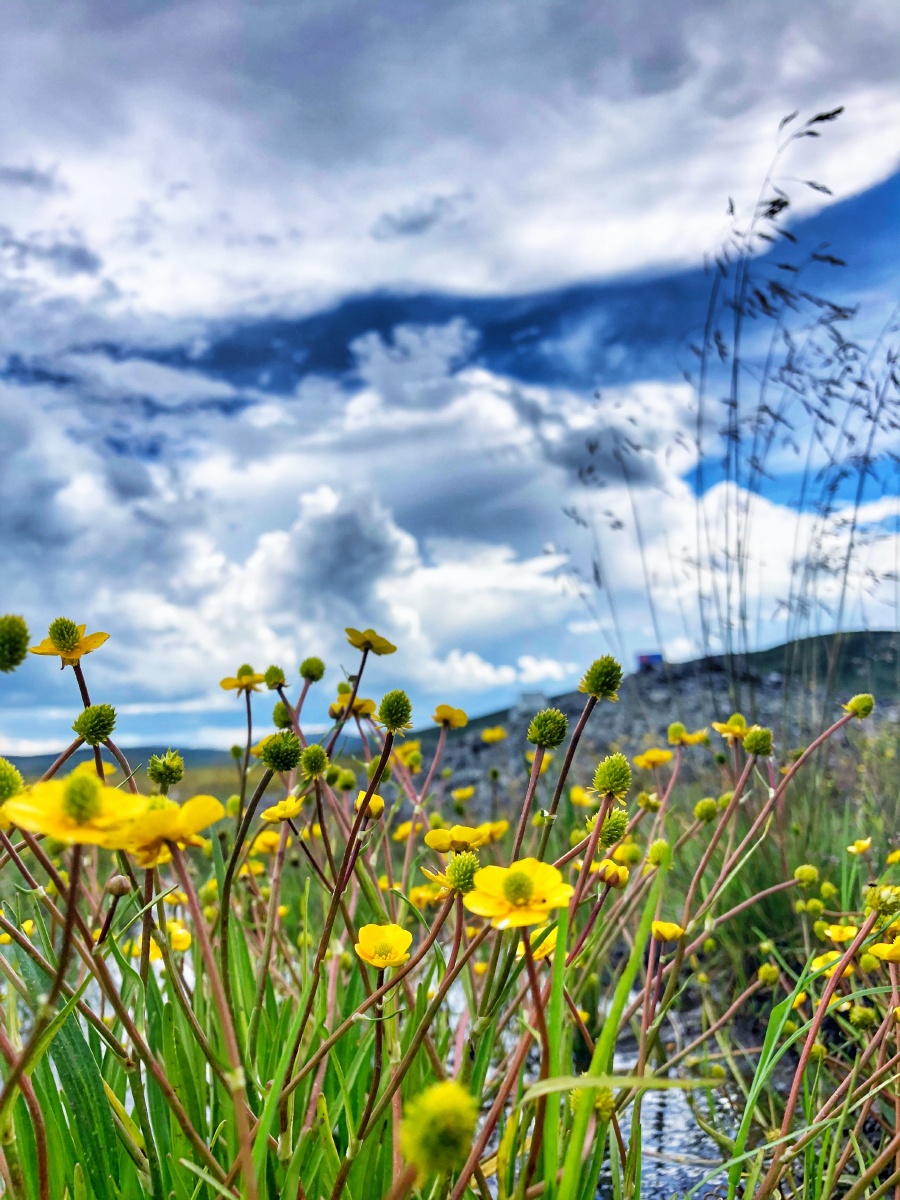 圣地格桑拉海拔3820