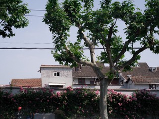 02103483-FF39-4830-AFAA-CD333CCA84D4/L0/001