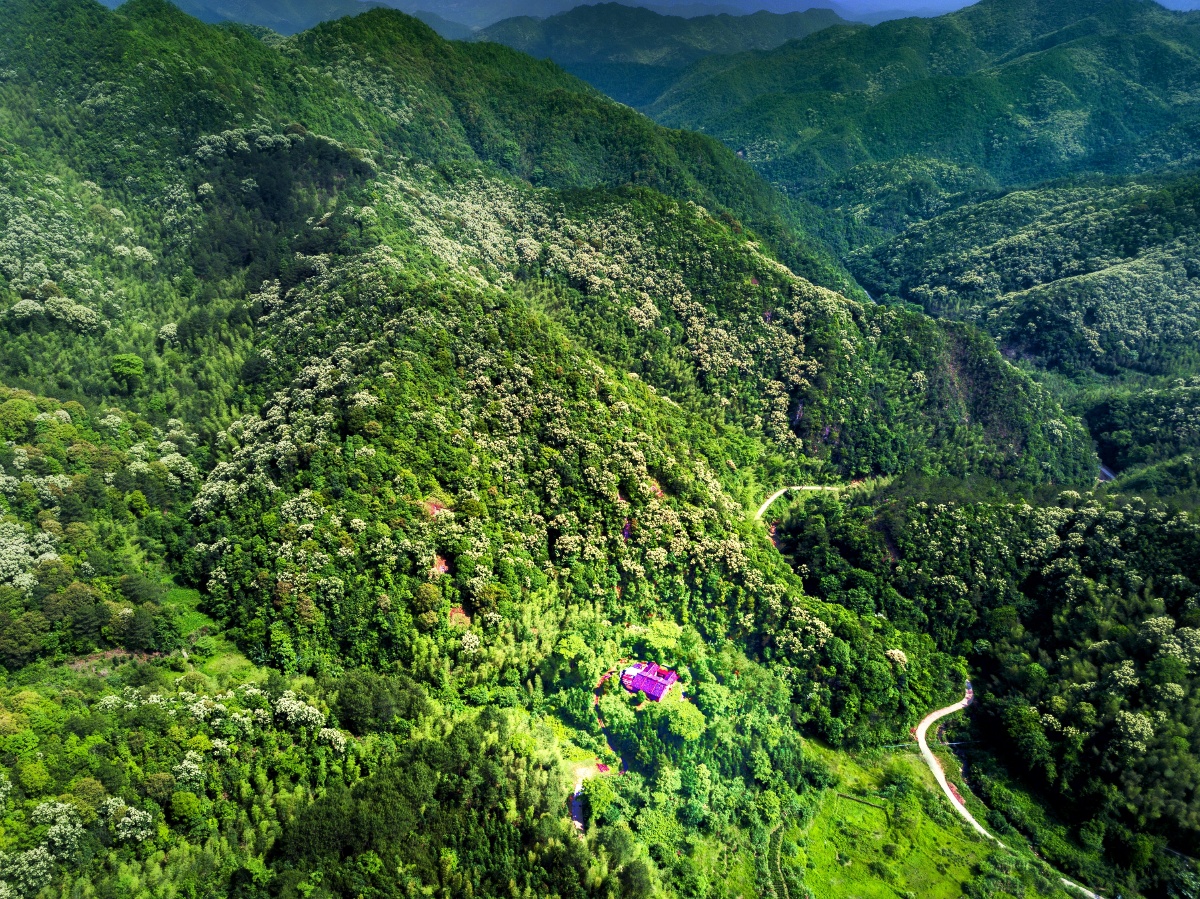 大山深处有座庵广东省梅州市蕉岭县南礤镇蓝源村大坪头庐山庵