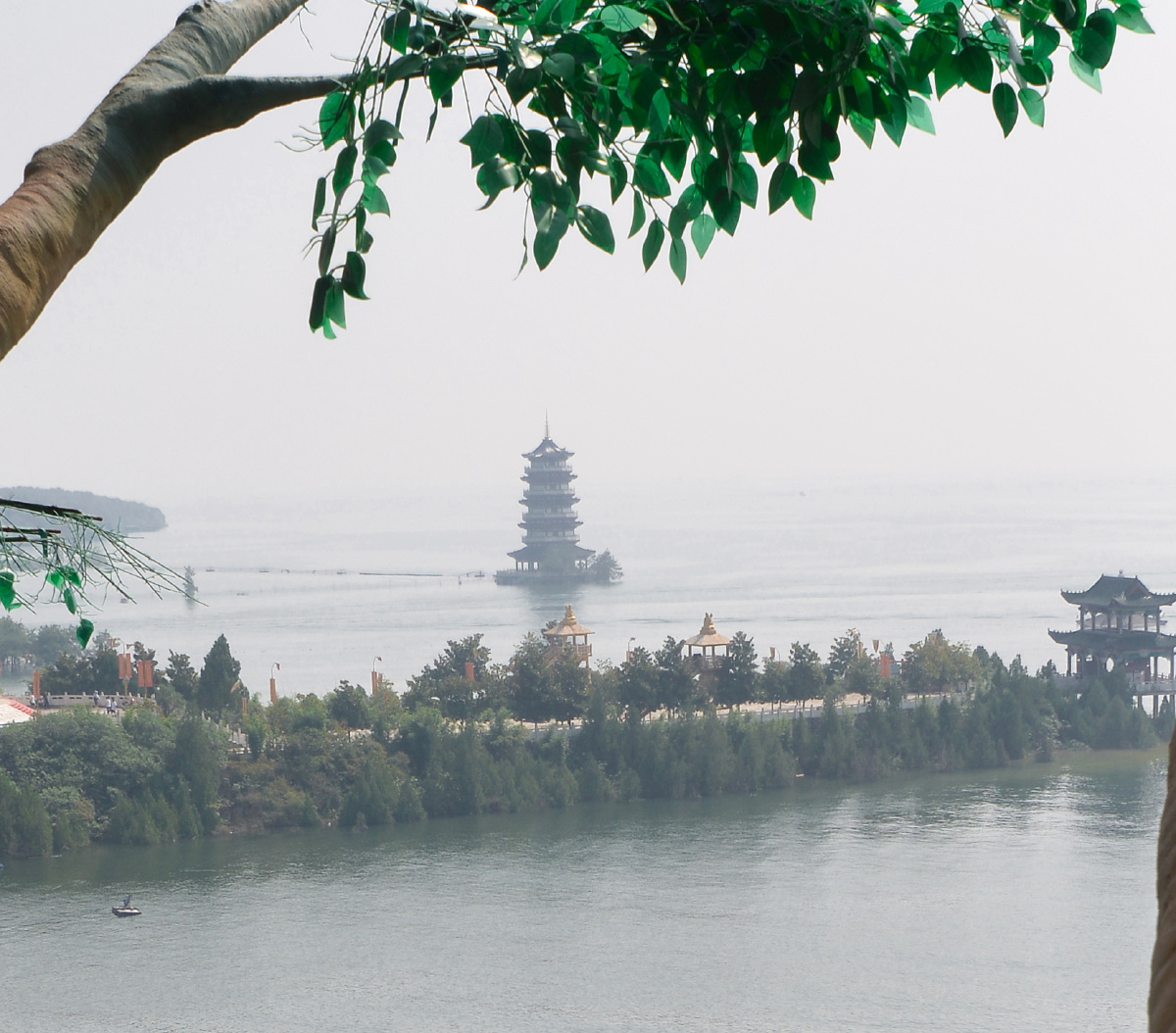 观景树上俯瞰丹江大观园