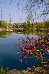 燕园4月