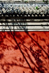 圆明园4月