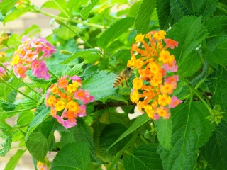 71B08F70-D29E-43A8-890A-B75C42519662/L0/001