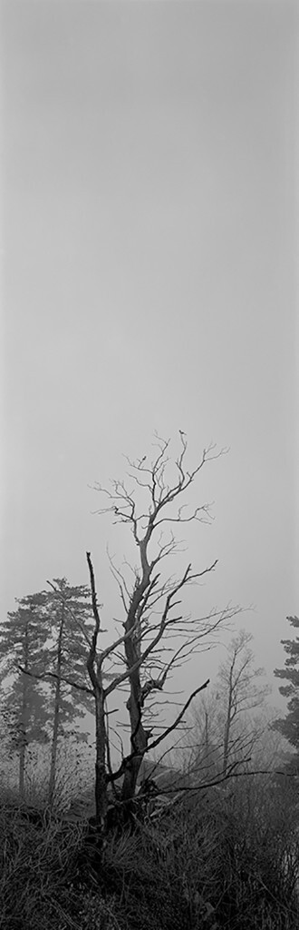 30361400.jpg