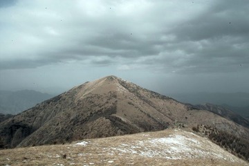 IMG06165