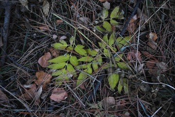 IMG06144