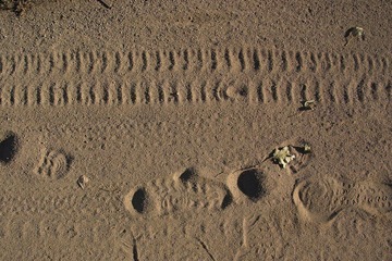 IMG06217