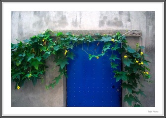 IMG05881