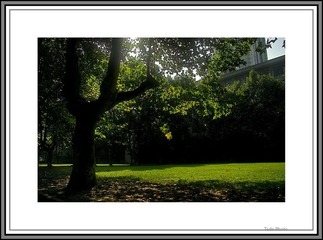 IMG05768