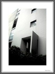 IMG05763