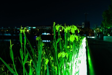 001