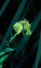 001