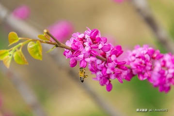_DSC4297