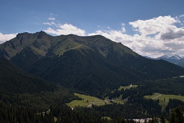 201569