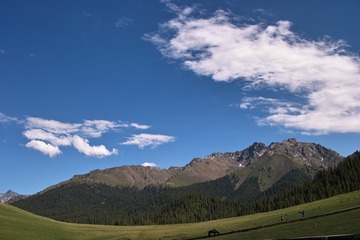 201571