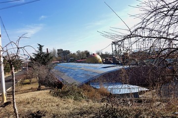 219130