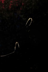 226019