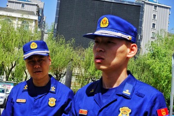 273619