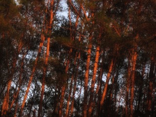 A19B840D-6152-478F-9CA8-1865B0A09C37/L0/001