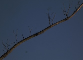 9AAC0418-9DBB-4C48-84ED-70DEBFA0CC5B/L0/001