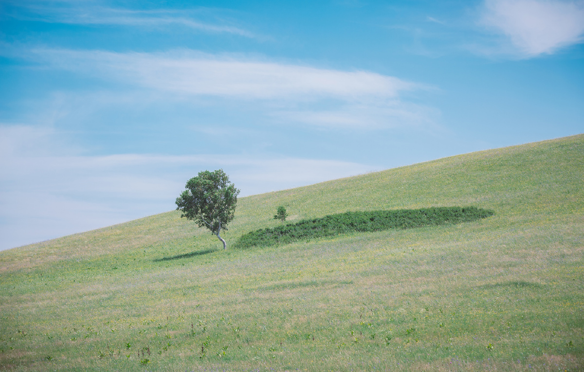 天空和大地间的第三者