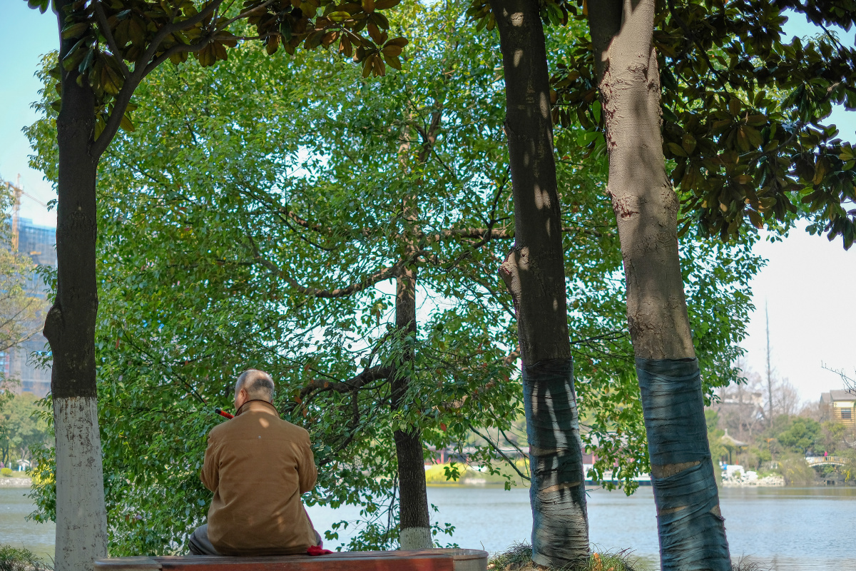 摄于南京绣球公园.一个老人在公园里独自吹着笛子.