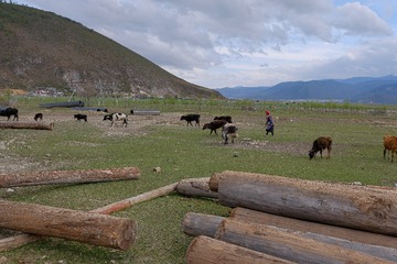 纳帕海依拉草原