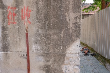 征收
