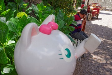 丽江街头