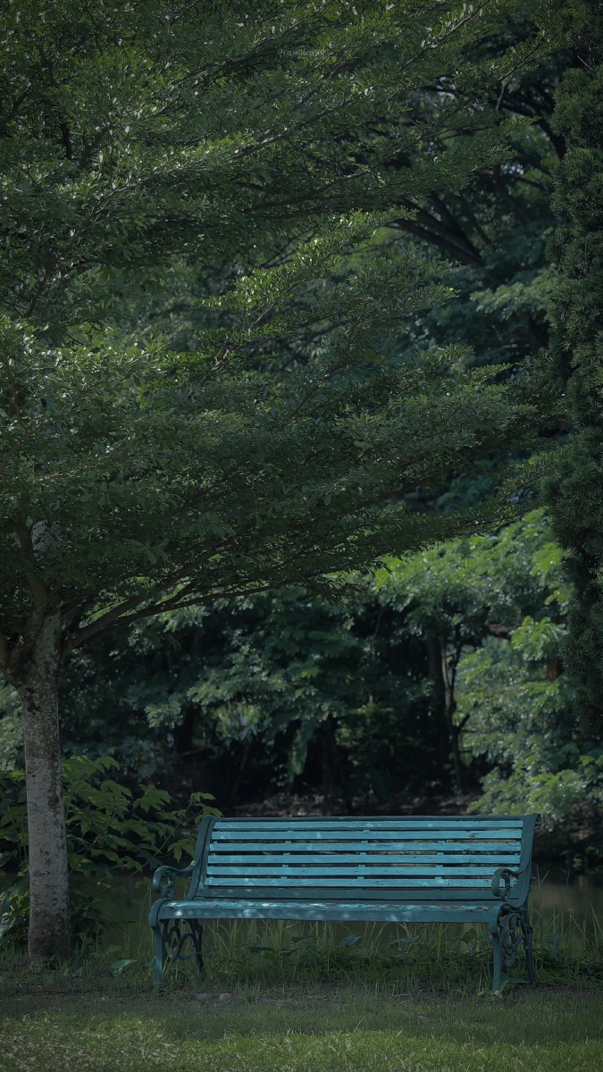 停留在安静里wallpaper手机满屏壁纸摄影