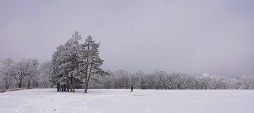 65B02607-1D4C-499F-8DEC-5B8337AEA53F/L0/001