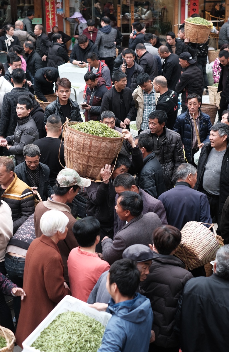 都是在为了生活而忙碌奔波着