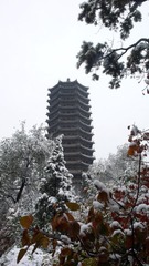 秋塔