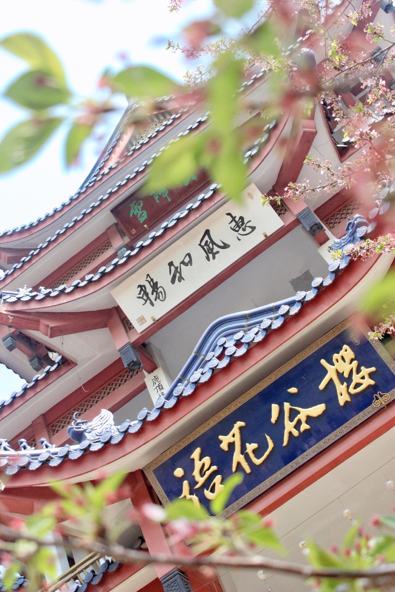 江苏无锡鼋头渚赏樱楼