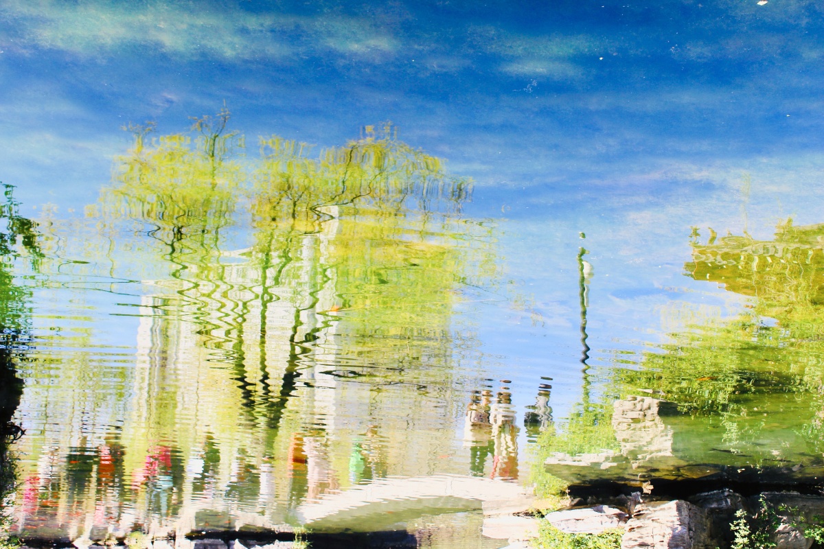 山东济南五龙潭清波漾漾人影绰绰