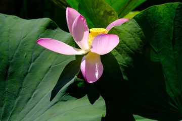001