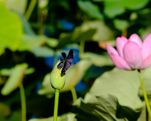 001