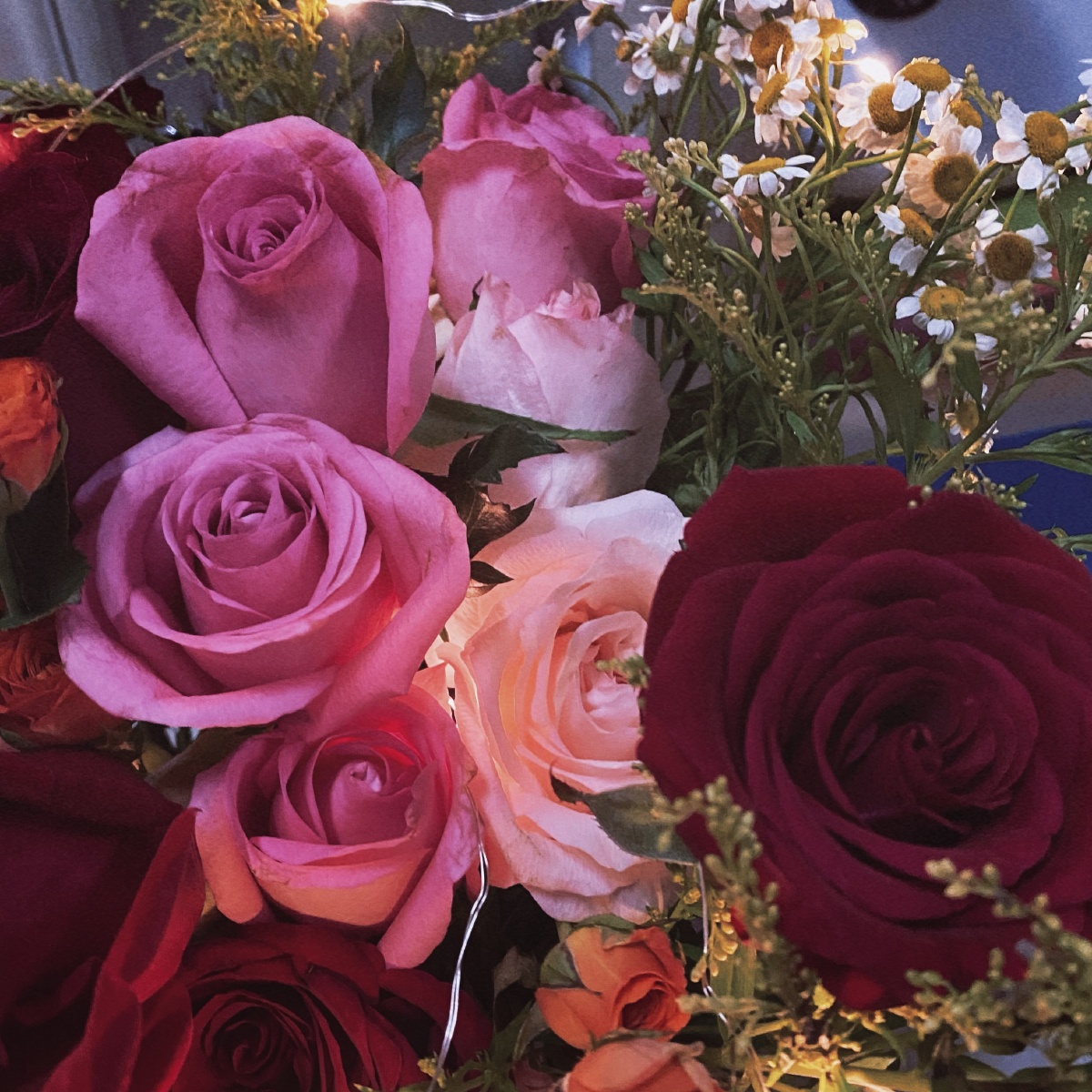 我口袋只剩玫瑰一片